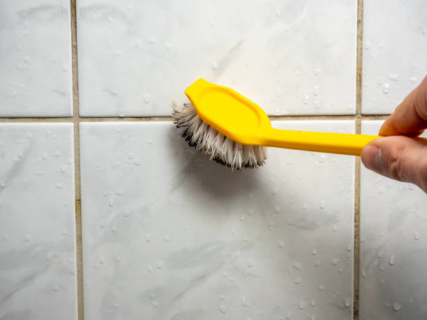 Best Office Mold Removal Services  in Wanaque, NJ