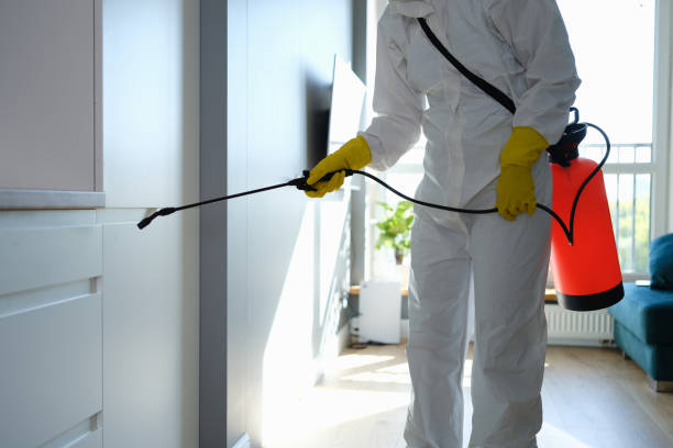 Best Toxic Mold Removal  in Wanaque, NJ